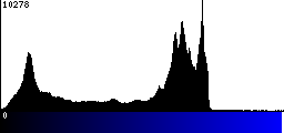 Blue Histogram