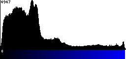 Blue Histogram