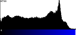 Blue Histogram