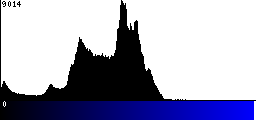 Blue Histogram