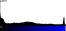 Blue Histogram