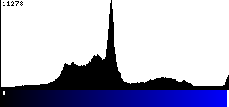 Blue Histogram