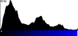 Blue Histogram