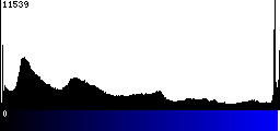 Blue Histogram