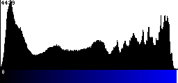Blue Histogram