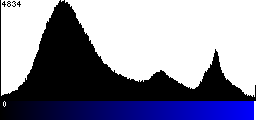 Blue Histogram