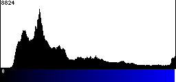 Blue Histogram