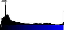 Blue Histogram
