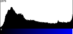 Blue Histogram