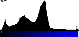 Blue Histogram