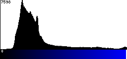Blue Histogram