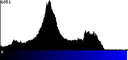 Blue Histogram