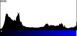 Blue Histogram