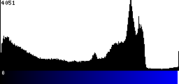 Blue Histogram