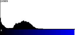 Blue Histogram
