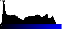 Blue Histogram