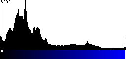 Blue Histogram