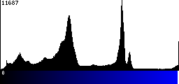Blue Histogram