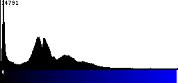 Blue Histogram