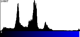 Blue Histogram