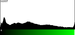 Green Histogram