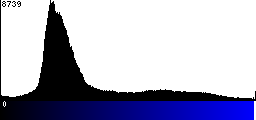 Blue Histogram