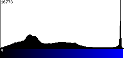 Blue Histogram