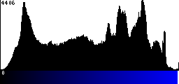 Blue Histogram