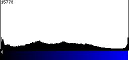 Blue Histogram