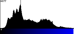 Blue Histogram