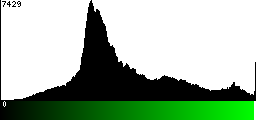 Green Histogram