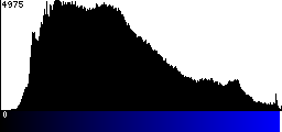 Blue Histogram