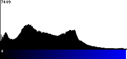 Blue Histogram