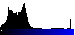 Blue Histogram