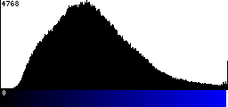 Blue Histogram