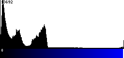 Blue Histogram