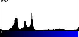 Blue Histogram