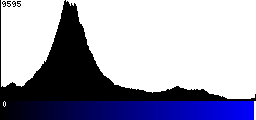 Blue Histogram