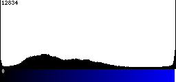 Blue Histogram
