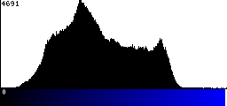 Blue Histogram