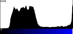 Blue Histogram