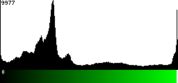 Green Histogram