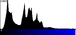 Blue Histogram