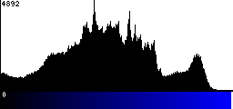 Blue Histogram