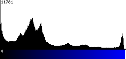 Blue Histogram