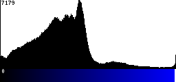 Blue Histogram