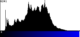 Blue Histogram