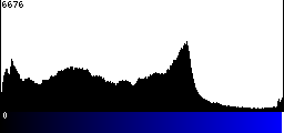Blue Histogram