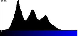 Blue Histogram