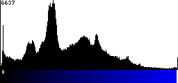 Blue Histogram